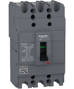 Schneider Electric EZC100H3080N