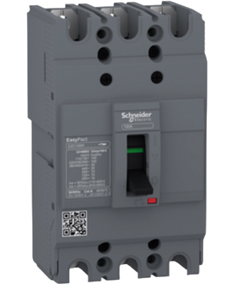 Schneider Electric EZC100H3080N