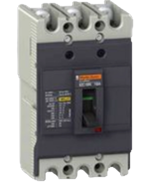 Schneider Electric EZC100N3060