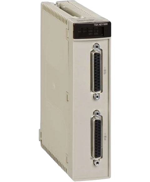Schneider Electric TSXAEY1600