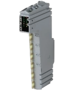 B&R X20CM8281