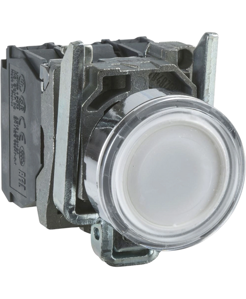 Schneider Electric XB4BW31G5