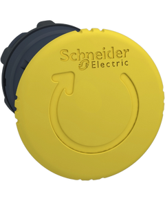 Schneider Electric ZB5AS55